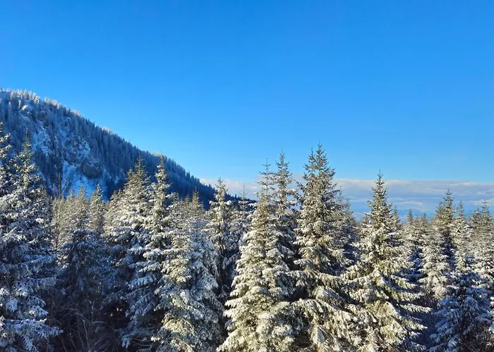 Apartman Sunset Pines Apt, Mont Jahorina