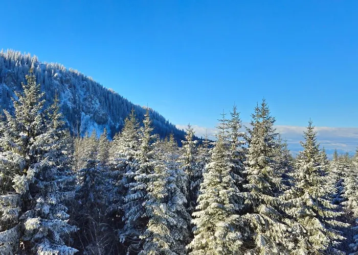 Sunset Pines Apt, Mont Apartman *